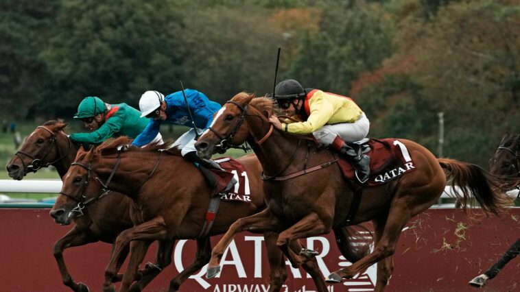 Arc de Triomphe hero Torquator Tasso set for Baden-Baden return