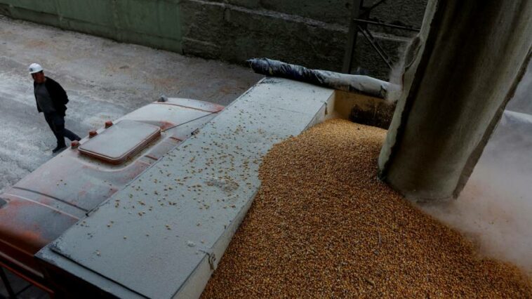 European leaders urge Putin to unblock Ukraine’s grain supplies