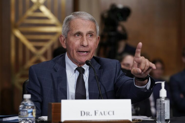 Garland deflects questions on Fauci allegedly lying to Congress