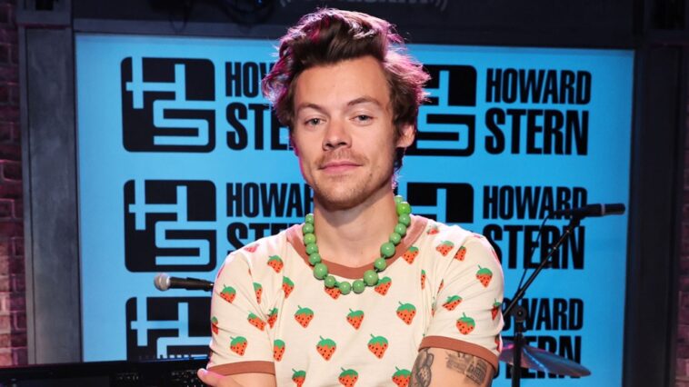 Harry Styles Partners With Everytown for Gun Safety on Upcoming Tour in Effort to “End Gun Violence”