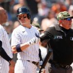 MLB suspends Yanks' Donaldson for one game