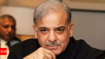 Pakistan PM Shehbaz Sharif calls himself 'majnoo', tells court he refused salary as Punjab CM