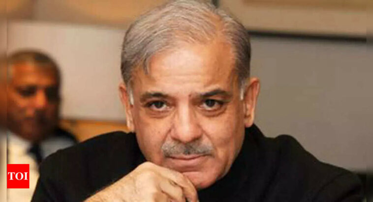 Pakistan PM Shehbaz Sharif calls himself 'majnoo', tells court he refused salary as Punjab CM