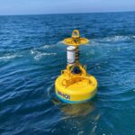 Robotic buoys developed to keep Atlantic right whales safe