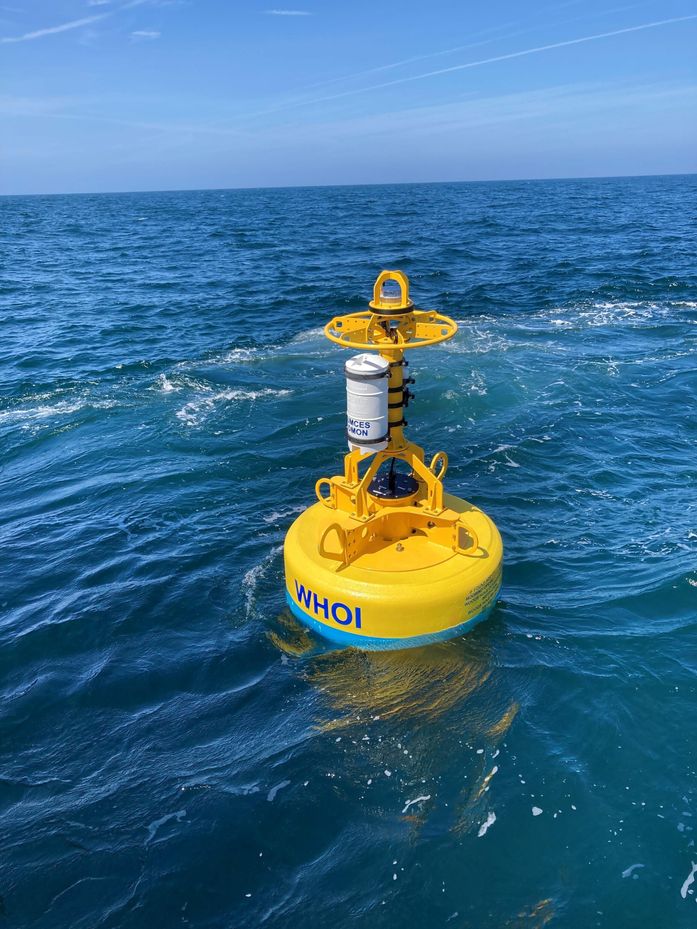 Robotic buoys developed to keep Atlantic right whales safe