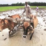 Though early days, meteorologists point towards a neutral La Nina during the initial phase of the four-month monsoon season this year that starts from June.