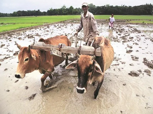 Though early days, meteorologists point towards a neutral La Nina during the initial phase of the four-month monsoon season this year that starts from June.