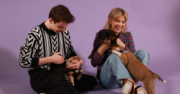 The "Stranger Things" Cast Did Our Puppy Interview And The Cuteness Is Too Overwhelming