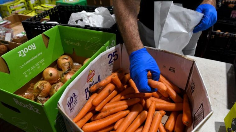 Unemployed could help feed rural Australia