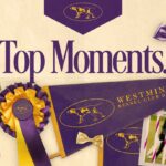 2022 Westminster Dog Show: Bee is Masters Agility Champion