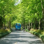 BEST Launches Public Trial for E-Bikes at Key Bus Stops in Mumbai