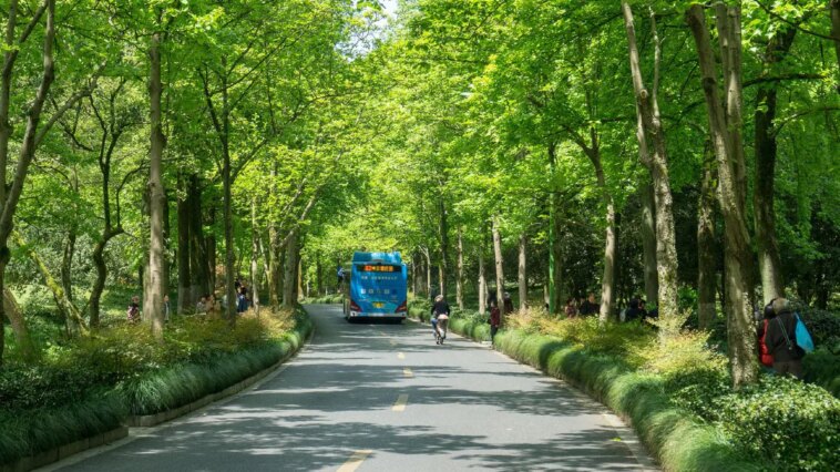 BEST Launches Public Trial for E-Bikes at Key Bus Stops in Mumbai