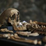 Black Death origins traced to lake in Central Asia