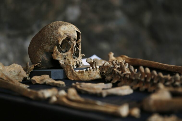 Black Death origins traced to lake in Central Asia