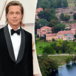 Brad Pitt spent a year scrutinizing for buried treasures in his French estate