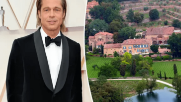 Brad Pitt spent a year scrutinizing for buried treasures in his French estate