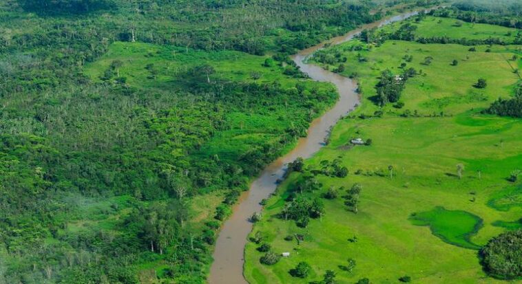 Brazil urged to step up search for missing journalist and indigenous activist