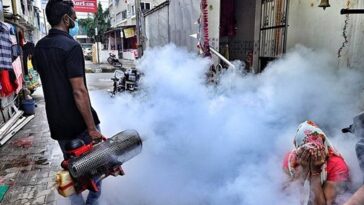 Delhi reported 118 dengue cases so far this year