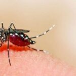 Delhi reports 126 dengue, 21 malaria cases this year