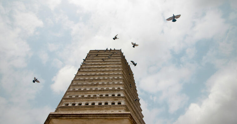 Documenting India’s Distinctive Birdhouses