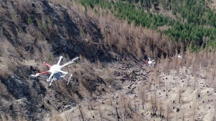 DroneSeed uses swarms of drones to reseed forests after devastating wildfires