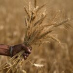 Farmers in India fear irregular monsoon amid summer heat and drought