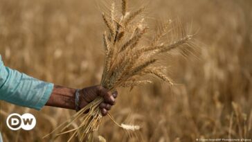 Farmers in India fear irregular monsoon amid summer heat and drought