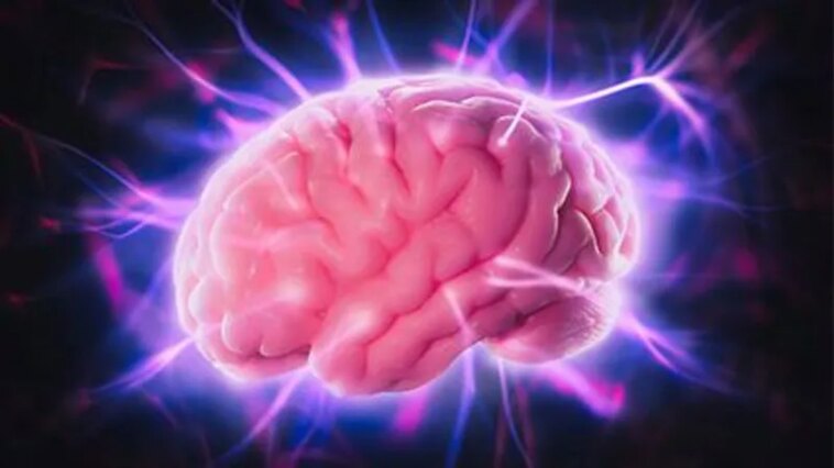 News Picture: 'Feverish': Healthy Human Brains Are Hotter Than We Thought