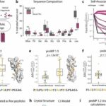 'Goldilocks' treatment window could lead to cancer therapy without harmful side effects