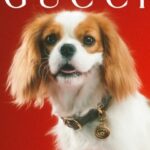 Gucci Pet Collection Is Introduced