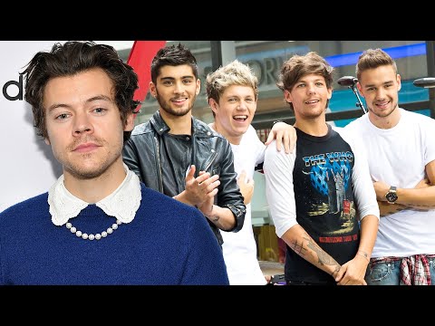 Harry Styles Thinks a One Direction Reunion Is Possible!