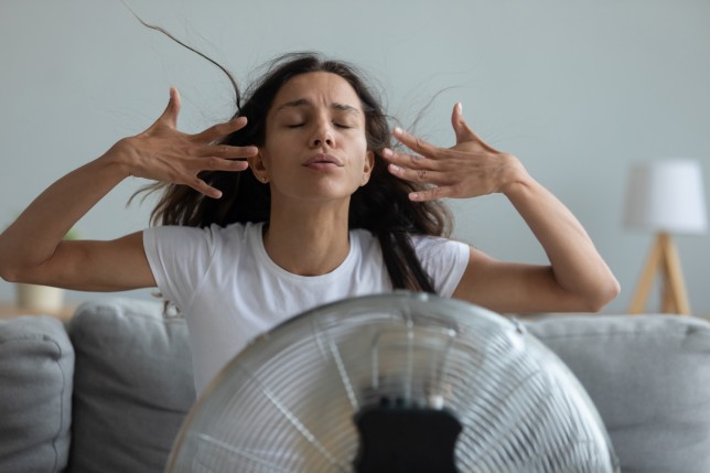 Woman in front of fan