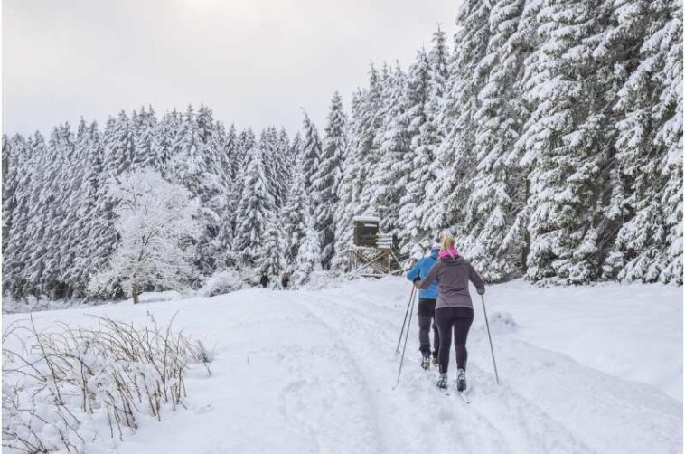 cross-country skiers