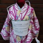 kimonos, discarded kimonos, fashion, kimono fashion, recycling kimonos, repurposing kimonos, redesigning kimonos as casual wear, sustainable fashion, Japan traditional outfit, indian express news