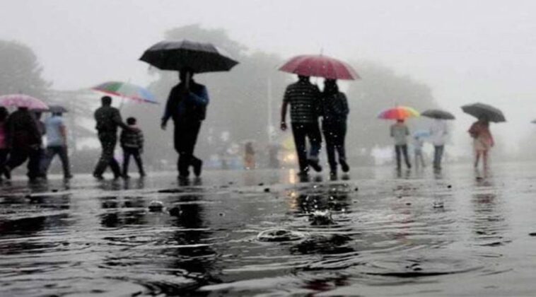 Madhya Pradesh: IMD issues orange alert warning of heavy rainfall in 10 districts