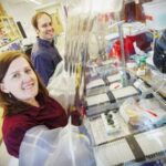 Microbiologists’ work adds to research on microbiome fungi and childhood disease