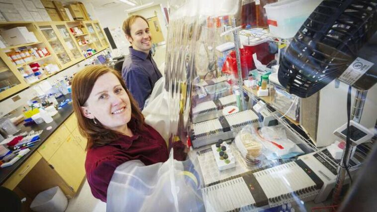 Microbiologists’ work adds to research on microbiome fungi and childhood disease