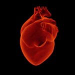 New Technology Can Repair Heart Muscles After an Attack, Say Researchers