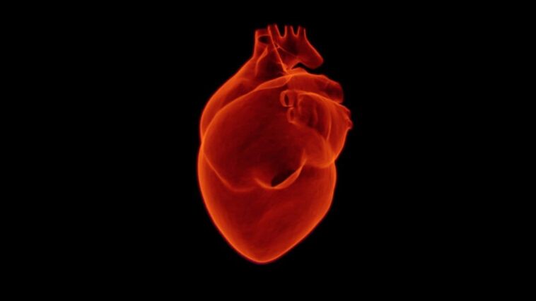 New Technology Can Repair Heart Muscles After an Attack, Say Researchers