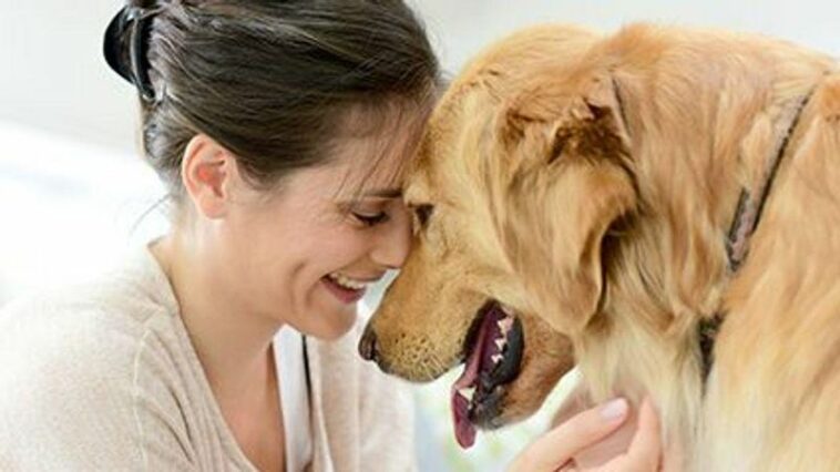 News Picture: Pets Help Their Humans De-Stress, Stay Fit: Survey