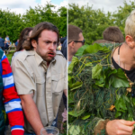 world nettle eating competition