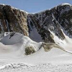 Rare carnivorous plant found for first time in western Himalayan region