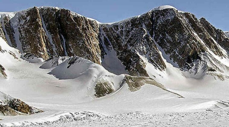 Rare carnivorous plant found for first time in western Himalayan region