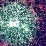 Researchers Develop Nanoparticles That Can Deliver Chemotherapy Drug to Brain, Help Kill Cancer Cells