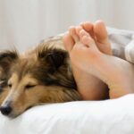 News Picture: Sleep With Your Pet? Survey Finds You're Not Alone