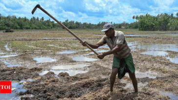 Sri Lanka seeks $55 million loan from India for buying fertiliser