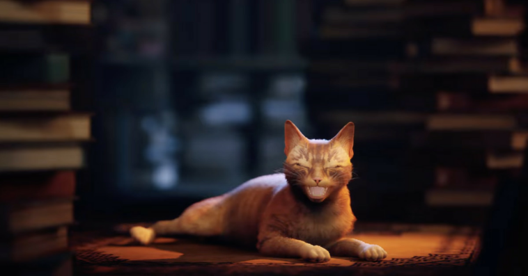 Stray, the cyberpunk cat simulator, is now coming out in July