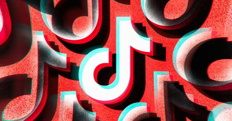 TikTok and Oracle teamed up after all, but concerns about data privacy remain