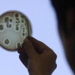 Typhoid-causing bacteria have become increasingly resistant to essential antibiotics, says Lancet study