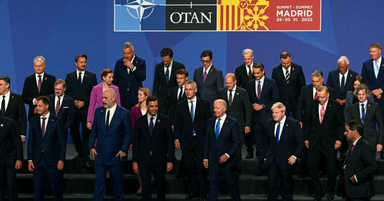 Ukraine Live Updates: NATO Pledges Support as Leaders Head Home to Sell Policies